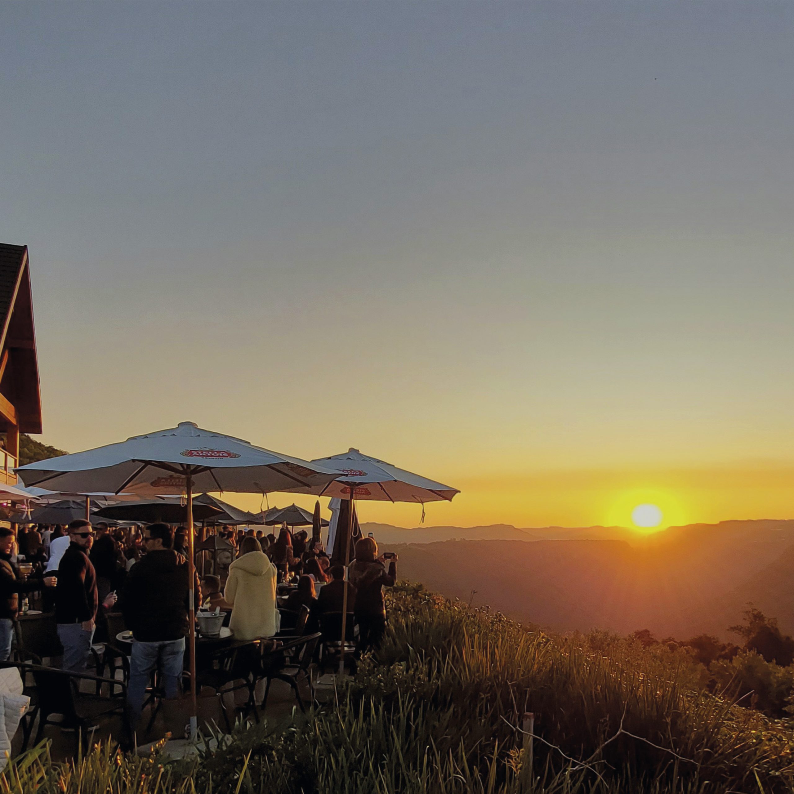 Cupom Olivas de Gramado