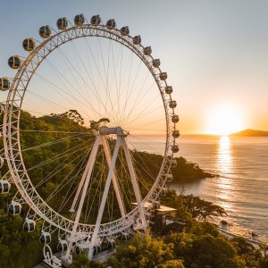 Cómo ahorrar en Nochevieja en Balneário Camboriú - Cupón descuento OVIAJANTE 6 FG Big Wheel - ¡Cupón 5% OFF TRAVELER!