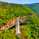 Cupom Parque do Caracol