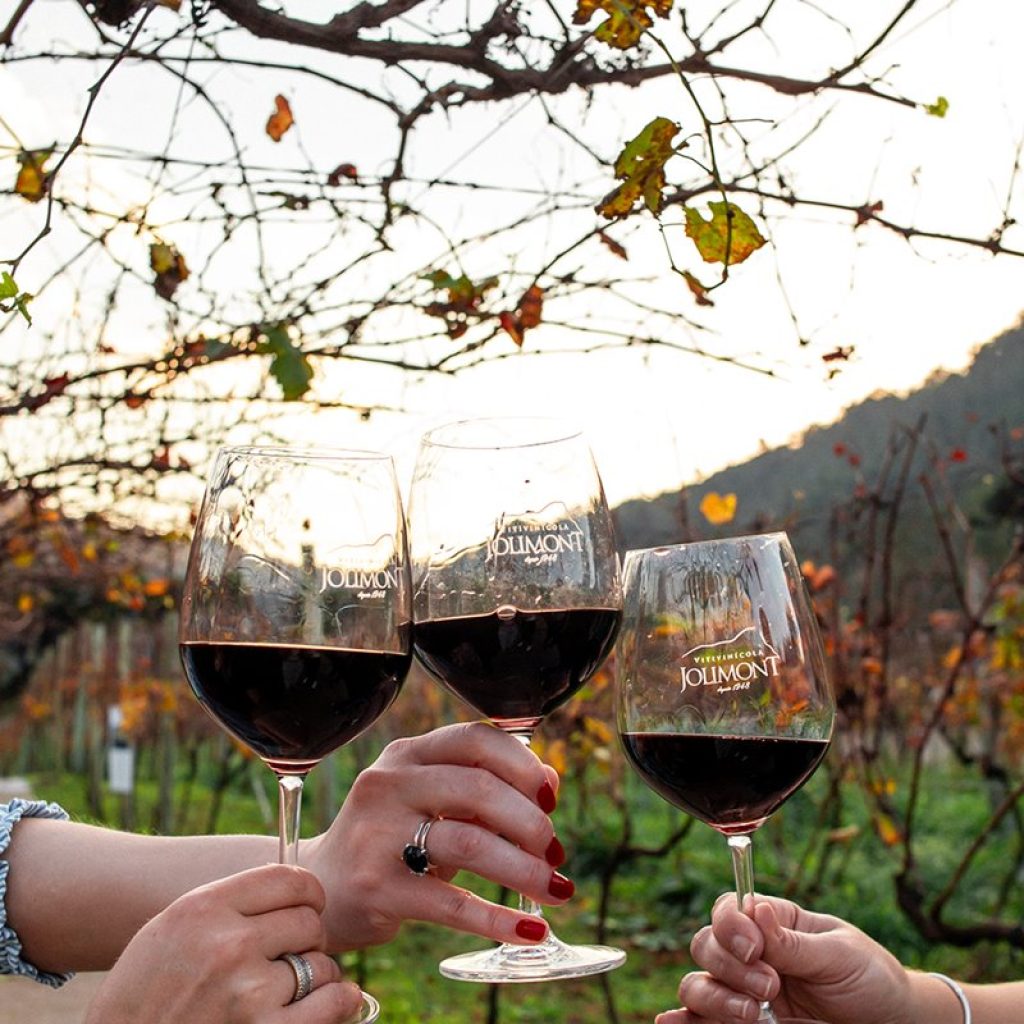 Cupom Vinícola Jolimont